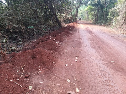 Immediate permission for companies to dig in the forest; The plight of the rural people
