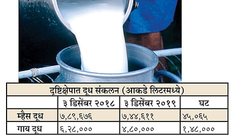 Gokul Milk Collection Decreased By Two Lakhs