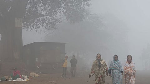 Cold wave in Kolhapur has increased in five days in kolhapur marathi news