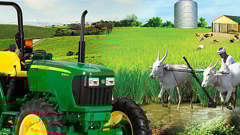 Agriculture Festival