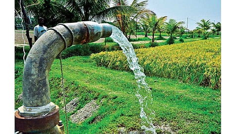 electricity for agricultural pumps 8 hours a day satara update