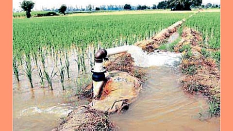 Agriculture-Water-Use