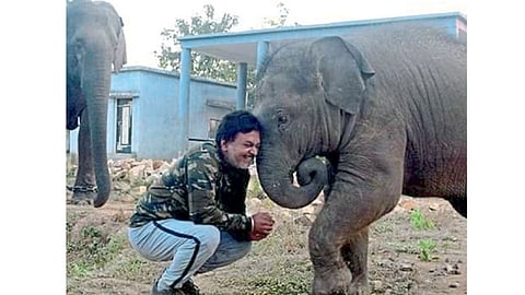 हत्तीच्या पिलाबरोबर मस्ती करताना आनंद शिंदे.