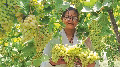 aundha nagnath photo