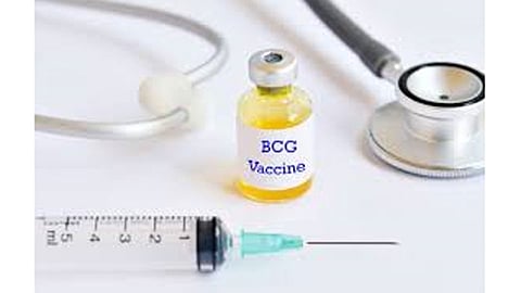 BCG-Vaccine