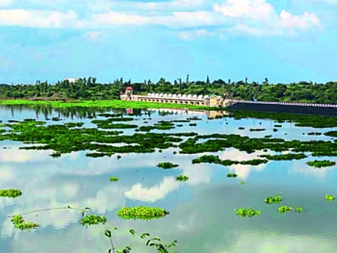यंदाचा पाणीप्रश्न मिटला; सलग दुसऱ्या वर्षी ‘गिरणा’ची शंभरी!