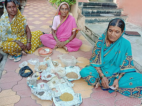 seed bank