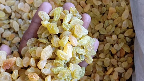 Highest Rate Received In Sangli Bedana Deal