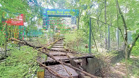 भोसगावची रंगीबेरंगी दुनिया यंदा कुलूपबंद; पर्यटक-अभ्यासकांची निराशा