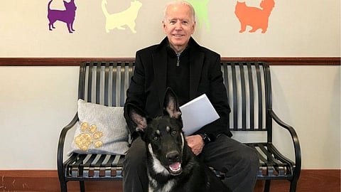 Biden With Dog