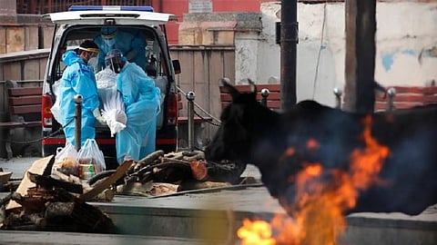 corona, coronavirus, Covid 19 deaths