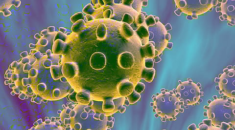 Four corona positive were found in Nagpur on Monday