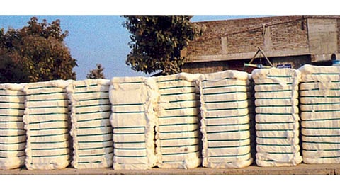 Cotton