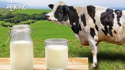 Cow-Milk