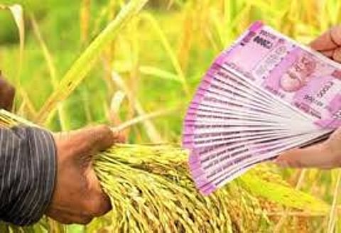 Crop loan