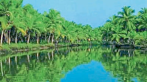 Environment