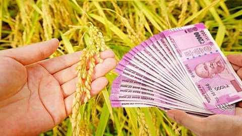 Akola News: Announcement of Rs 10,000 per hectare; 3800 in the position of farmers!