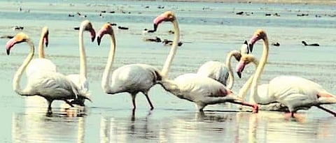 Aurangabad Gramin News