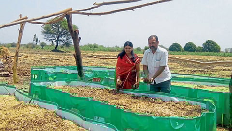 माने दांपत्याने सुरू केलेला गांडूळखतनिर्मिती व्यवसाय.