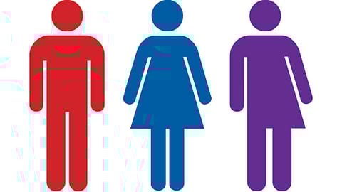 Gender