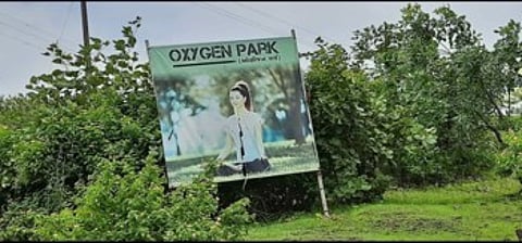 वडिलांच्या वाढदिवसानिमित्त मुलाने साकारले ‘आॕक्सिजन पार्क’ 