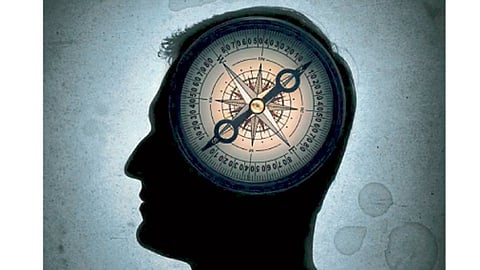 Human behavior