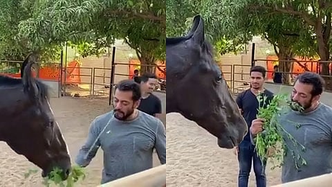salman