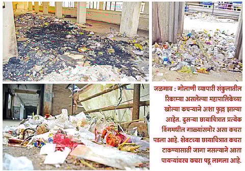 ‘गोलाणी’तून रोग फैलण्याचा धोका