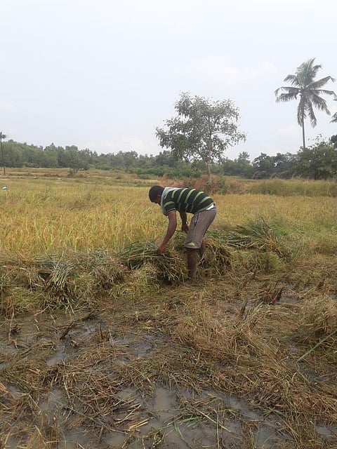 Farmers in Padlos have not received compensation
