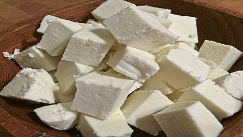 Kacche Paneer Benefit Tips In Marathi