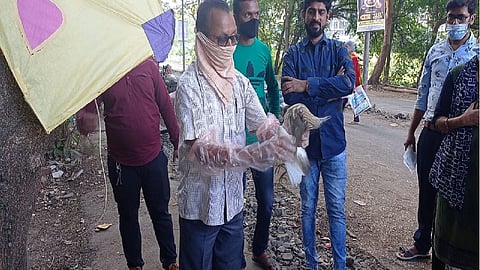 कल्याणमध्ये दोन बगळ्यांचा मृत्यू, नागरिकांमध्ये भीतीचं वातावरण