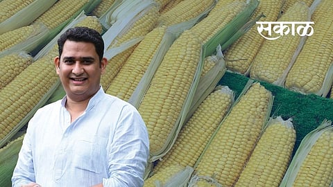 MLA Ashutosh Kale has informed that all government maize procurement centers in the state will be reopened.jpg 2.jpg