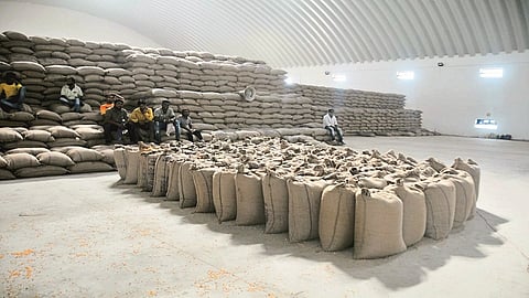 Maize was procured from only 1800 farmers in a month nashik marathi news