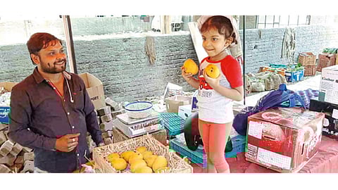 कोथरूड - विकेत्याकडील रसरशीत आंबा पारखताना चिमुरडी.