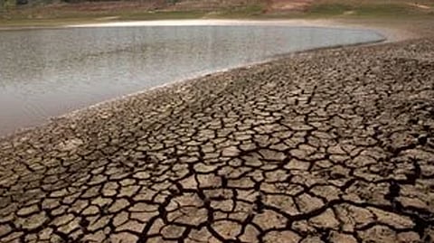 Collector Goyal appeal on Drought related concession applied in 28 revenue circles in district dhule news