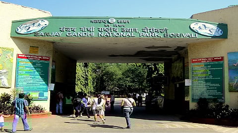 नॅशनल पार्कमध्ये गाड्यांना बंदी, स्थानिक आदिवासी संघटनांचा विरोध