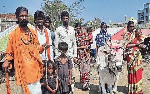 Nomadic Tribe, Chakur