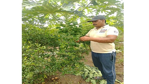 Organic farming by ex-servicemen in nashik marathi news