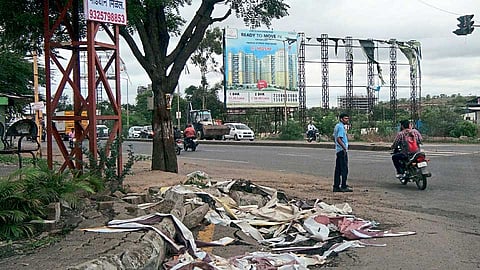 moshi mutilation due to hoarding