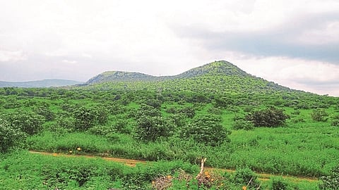 Panjarpol Institute Oppose to allotment of land to cidco nashik news