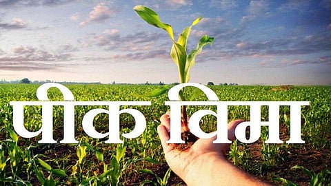 Akola News: PM Crop Insurance Scheme; Proposals have to be submitted by December 15