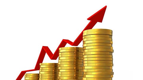 Savitribai Phule Mahila Patsanstha makes a profit of Rs 8 lakh in Financial year Nashik News