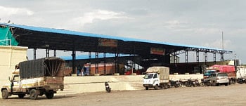 The highest sales of pomegranate in Rahata taluka