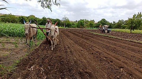 Satara