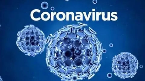 corona virus mutation