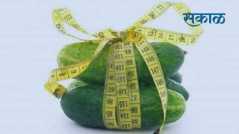 Akola News Diet daily to get relief from these five problems including cucumber, diabetes, obesity and digestion.