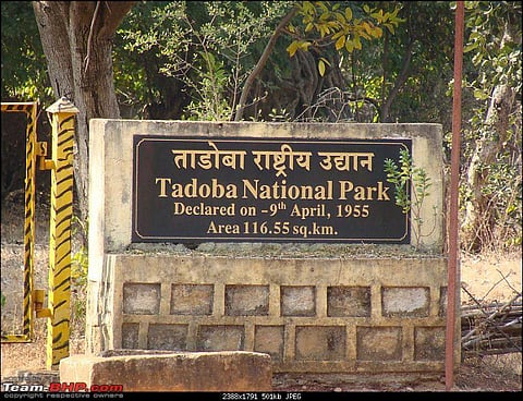 tadoba main gate