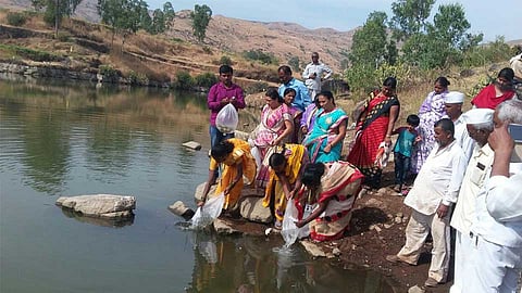 पानवडीची वाटचाल जलसंपदेतून धनसंपदेकडे