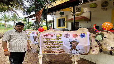 That banner on bulls are discusses everywhere nashik marathi news