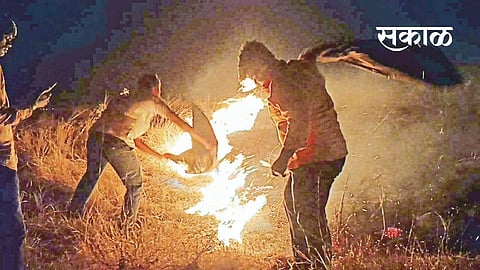 The youth saved five hundred acres of forest fire in Bakori area